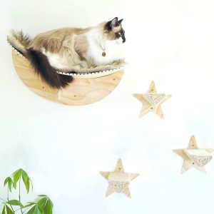 Cat Shelves and Perches for Wall. Cat Shelves, Cat Shelf, Cat Wall Shelves. Cat Window Perch. Cat Window Shelf.